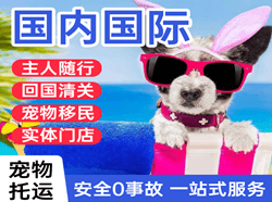 海西德令哈空运公司国际宠物托运 【国